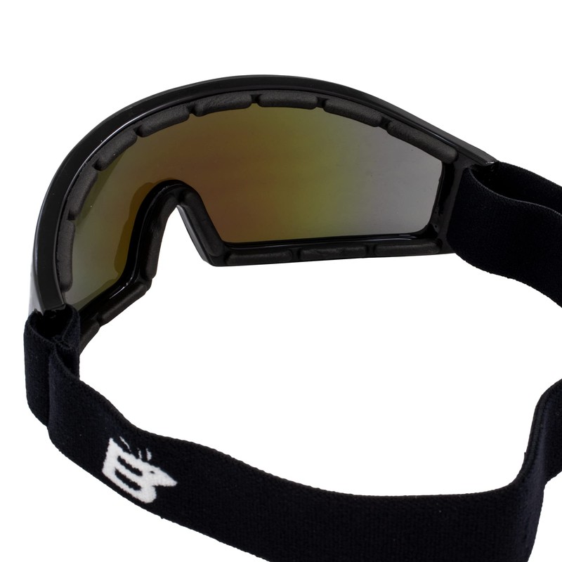 Birdz Eyewear Robin Sport Skydiving Snowboarding Motorcycle Riding Goggles Black