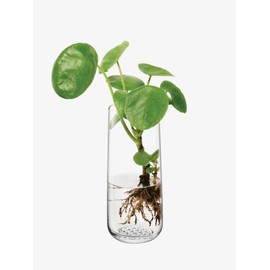 LSA International Market Clear Bud Vase 7”, Luxury Decorative Mouth Blown Glass Slim Flower Holder with Textured Base