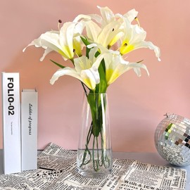 Aoderun Glass Vase for Flowers Modern Vases Home Decor Unique Flower Vase for Bouquet 8.7" Centerpiece Vase Decor Room,Bedroom,Living Room,Library,Office,Table,Entryway,Modern Farmhouse(Clear)