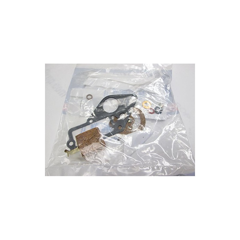 Carburetor Kit with Float - OMC 382048 - 9.5 hp