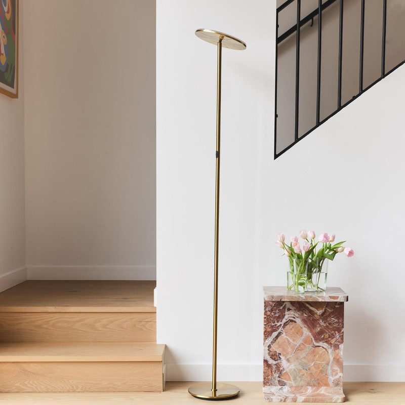 Brightech Sky LED Floor lamp for Living Rooms & Offices