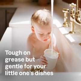 ATTITUDE Baby Dish Soap and Bottle Cleaner, EWG Verified Dishwashing Liquid, No Added Dyes or Fragrances, Tough on Milk Residue and Grease, Vegan, Refillable Bottle, Unscented, 16 Fl Oz (Pack of 6)