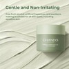 Purifying Green Tea Mask, Natural Facial Clay Mask Deep Pore