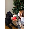 Pearhead Holiday Wrecking Bauble Dog Toy, Stuffed Dog Plush Toy,