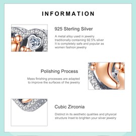 Erizteya 925 Sterling Silver Charms for Bracelets Necklaces, Elephant Mom Infinite Love Heart Pendant Beads, Family Safety Chain Clip Pendant Jewellery Gift for Women, Cubic Zirconia Silver, Zircon