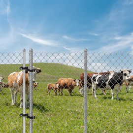 1-5/8'' Chain Link Fence Gate Post Hinge, 2 Pcs Gate Hinges with 1-5/8" Female Hinges(2 Pcs), Heavy Duty Fence Gate Frame Hinge