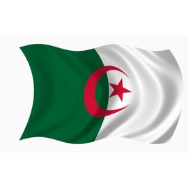 Country Flag: 2x3 Algeria Algerian 2'x3' Rough Tex 100D Flag