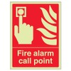 VSafety 13001AN-G "Fire Alarm Call Point" Equipment Sign, Glow In