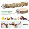 Lurrose 12pcs Birdcage Perch Mounting Screw Kit with Wing Nut