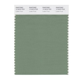PANTONE Smart 17-0210X Color Swatch Card, Loden Frost
