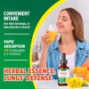 Extracto De Hojas De Gordolobo Para Los Pulmones: Gotas De