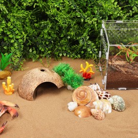 IMIKEYA Hermit Crab Shells: 1 Set Coconut Shell Hut Hermit Crab Habitat Hide Reptile Hideout Crab Shells Hide Cave Conch Shell Hut Seashells for Fish Tank Decor Hermit Crab Habitat