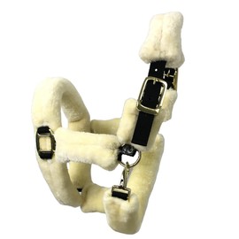 Derby Originals Comfortable Super Soft Padded Faux Mink Horse Black Nylon Halters with Throat Snap for Easy Removal, Daily Use, and 1-Year Warranty (Black, Cob/Arab)