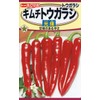 Tohoku Co., Ltd. Kimchi Pepper Hikari 04921