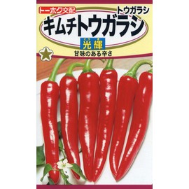 Tohoku Co., Ltd. Kimchi Pepper Hikari 04921