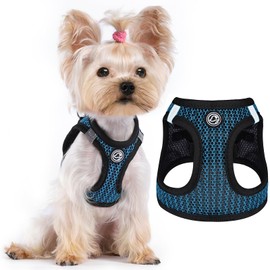 Dog Harness Step in Breathable Puppy Cat Dog Vest Harnesses for Small Dogs, Blue, Large