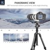 10 Layers Carbon Fiber Travel Tripod Monopod-INNOREL RT55C with 36mm