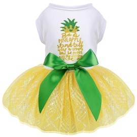 Dog Clothes for Small Dogs Girl, Spring Pet Dress Puppy Princess Tutu Cute Puppy Tulle Dresses Pet Clothes Cat Apparel Chihuahua Yorkshire Outfits (Yellow Pineapple, XXL)
