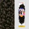 GOGO CURL 12" (99J) - Freetress Synthetic Braid Crochet Bulk