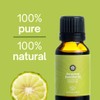 Natureance Natureance Bergamot Essential Oil (15 mL) - 100% Pure