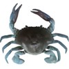 3D Crab 2" 1/4oz S BC-Blue Crab Sinking