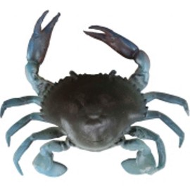 3D Crab 2" 1/4oz S BC-Blue Crab Sinking