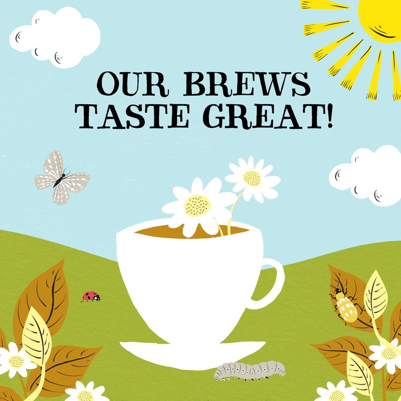 (12 PACK) - Clipper - Organic Chamomile | 20 Bag
