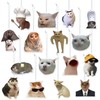 DSjuedui Funny Cat Print Car Accessories - 16 Meme Hanging