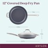 Anolon Accolade Forged Hard Anodized Nonstick Deep Frying Pan /