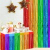 2pcs Rainbow Tinsel Curtain Party Backdrop Foil Door Curtain Fringe
