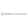Simpson Strong Tie S16CN1 16d Smooth Shank Common Nails 3-1/2-Inch