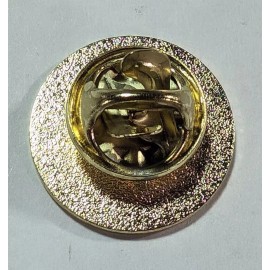 BSA CUB SCOUT NATIONAL SUMMERTIME AWARD PIN- TIGER