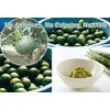 [JAPAN PREMIUMS] Green Yuzu Kosho (Japanese Spicy Citrus Paste) [NO-MSG]