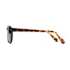 Readers.com Reading Sunglasses: The Drama Bifocal Reading Sunglasses, Acetate round