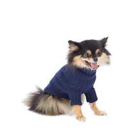 Cashmere Pet Sweater with Sleeves for Dogs & Cats - Navy, Large