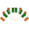 QQSD Ireland Toothpick Flag Irish Small Mini Cupcake Topper Flags,100