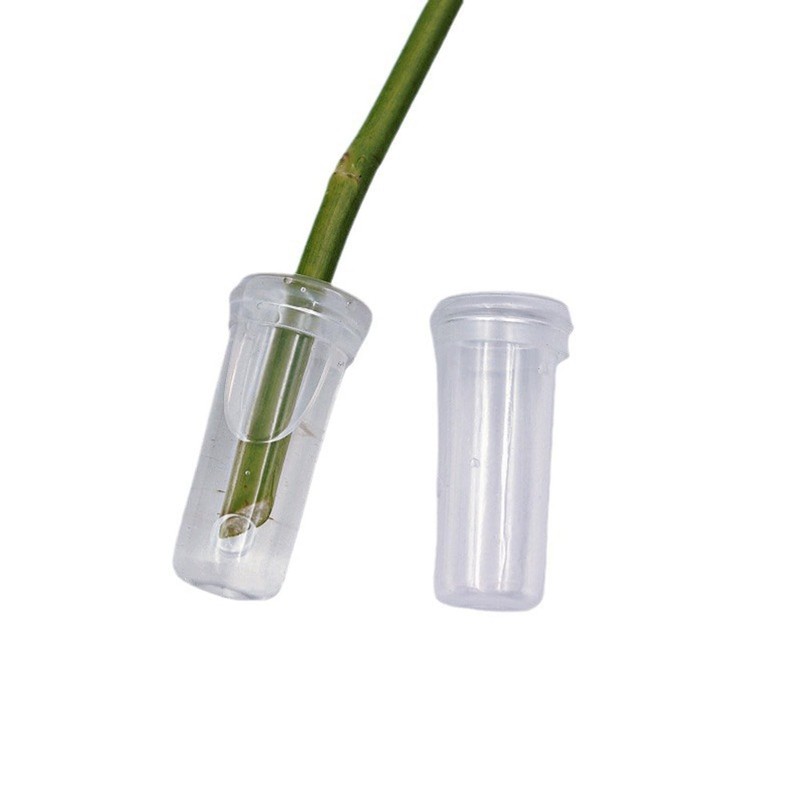SaveSooo 10pcs Test Tube Vase Flower Water Tube Clear Tube