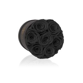 NATROSES 7 Piece Preserved Roses in a Box, Preserved Flowers for Birthday, Flower Gifts for Mothers Day (Black)