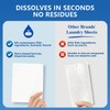 Laundry Detergent Sheets, 100 Loads (50 Sheets), 5.5" x 4.25",