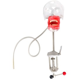 Dental Simulator Manikin Phantom Head Plastic Educational Dental Teeth Model with Bench Mount for Education Fix on (Table Type)
