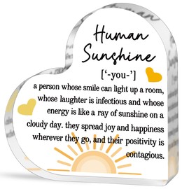 Christmas Thank You Gifts for Women Friends Coworkers Doctor Nurse Appreciation Gifts for Teacher Inspirational Mom Aunt Sister Daughter Stocking Stuffers Human Sunshine Home Office Desk Decor Sign