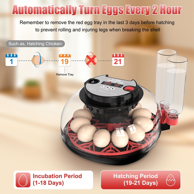 Khsp5d 12 Egg Incubator with Temperature Control, Humidity Display, Automatic