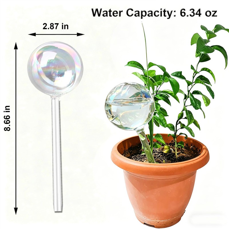 Self Watering Globes for Plants, Large 6pcs Glass Garden Self