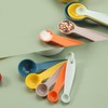 XINGSUI Measuring Spoons Set of 5 Different Capacity Color Measuring