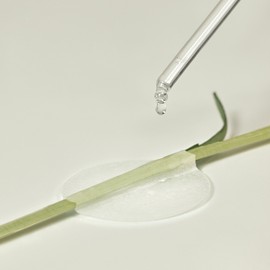 The Lab by Blanc Do Green Pla Soothing Pads 90 sheets / 더랩바이블랑두 그린 플라 진정 패드 90매