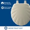 Mayfair Sculptured Shell Toilet Seat, Easy Clean Hinges with Durable