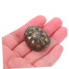 Garneck Turtle Shell Shaking Hexagram Turtle Shell Luck Charm Sculptures