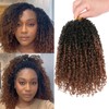 Leeven 8 Packs Pre-looped Yanky Twists Crochet Braids 12 Inch