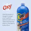 Shout for Pets Turbo Oxy Urine Remover | Carpet Cleaner