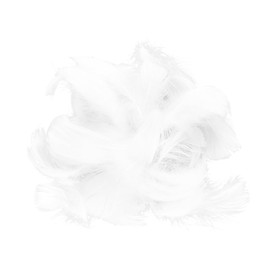 Tabanzhe 100 White Dreamy Feather Decorations for DIY Dream Catcher Costumes Wedding and Holiday Crafts - Assorted Natural Carnival/Wedding/Party Decorations Supplies(White)